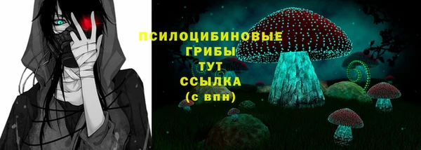 apvp Володарск