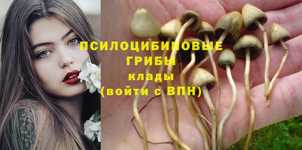 apvp Володарск