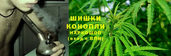 apvp Володарск