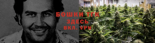 apvp Володарск